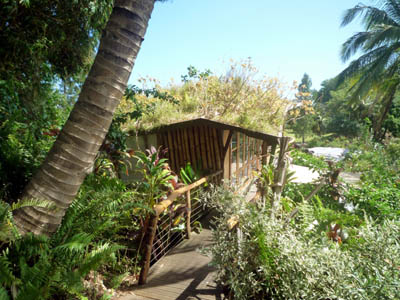 Bungalow terrasse Lichee (Passerelle) Bungalow terrasse Lichee (Passerelle)